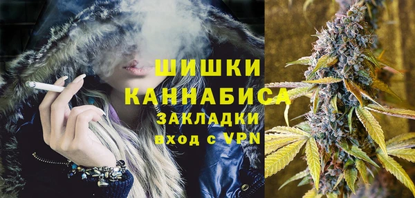 прущие грибы Кукмор
