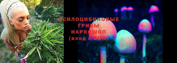 каннабис Беломорск