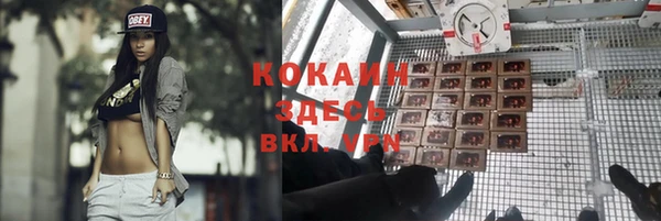 PSILOCYBIN Куйбышев
