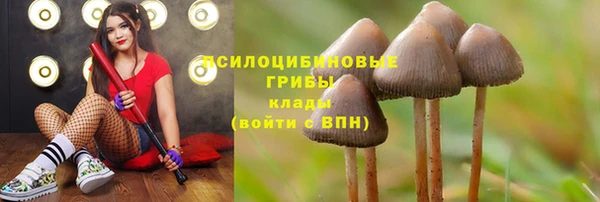 эйфоретик Белокуриха