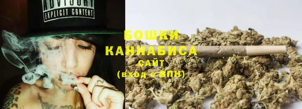 прущие грибы Кукмор