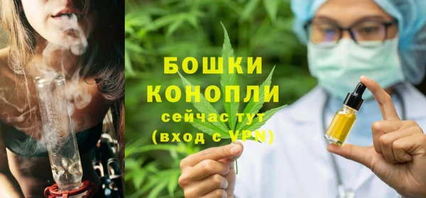 прущие грибы Кукмор
