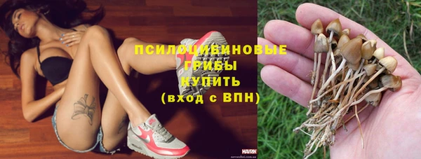 эйфоретик Белокуриха