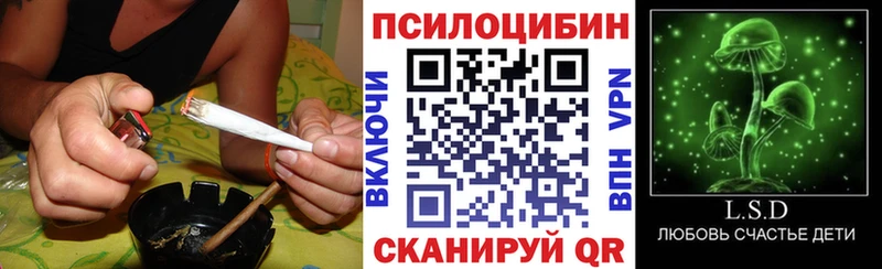 Псилоцибиновые грибы мухоморы  как найти   Белокуриха 