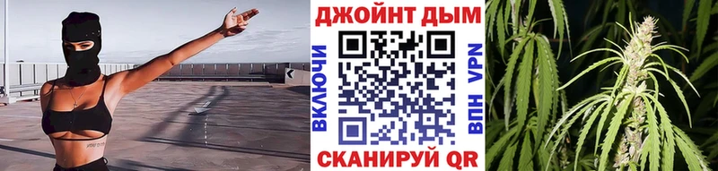 Марихуана сатива Белокуриха